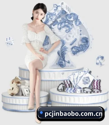 国际化进程 - 注册用户突破千万级,业务版图扩展至全球多个华人聚集地区。